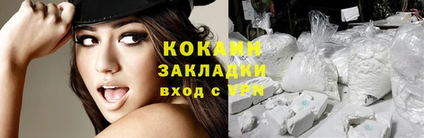 хмурый Белокуриха