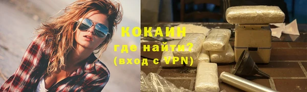 хмурый Белокуриха