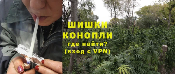 хмурый Белокуриха