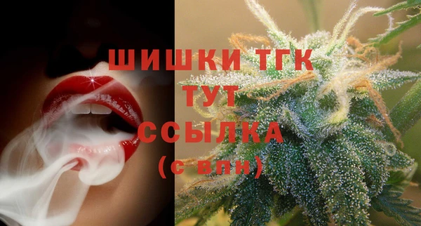 хмурый Белокуриха